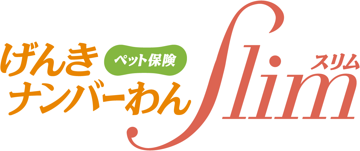 げんきナンバーわんスリム