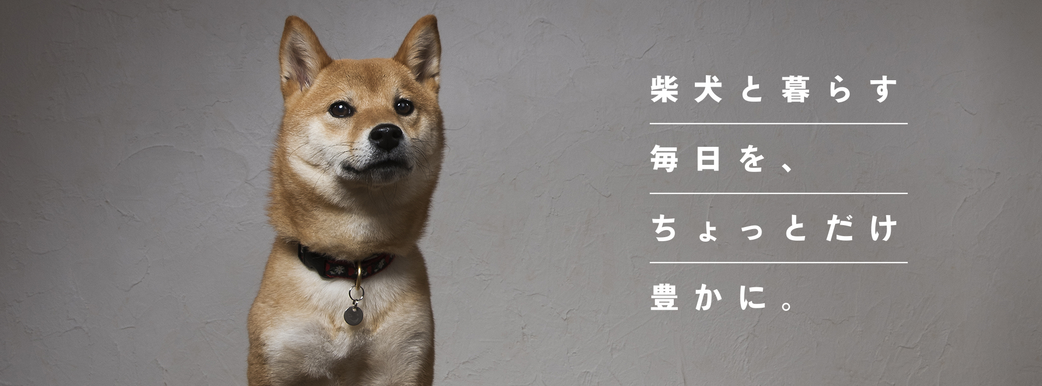 柴犬と暮らす毎日を、ちょっとだけ豊かに。
