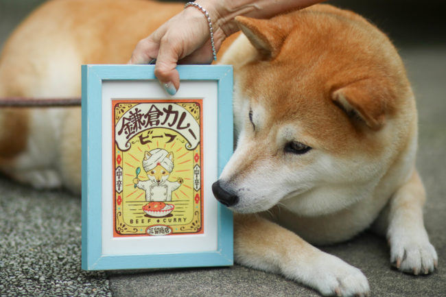 柴犬,三留商店,看板犬,鎌倉