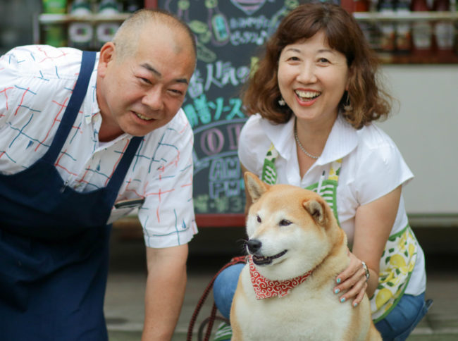 柴犬,三留商店,看板犬,鎌倉