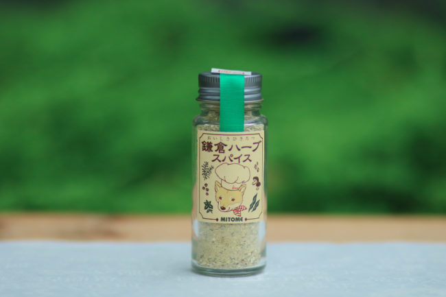 柴犬,三留商店,看板犬,鎌倉