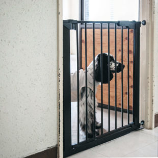 ペットフェンス　プレミア(本体)