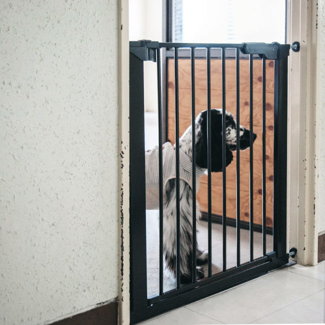 ペットフェンス　プレミア(本体)