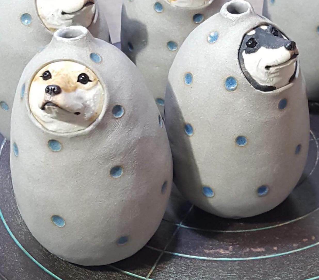 柴犬,うちの子記念日,フォトビー