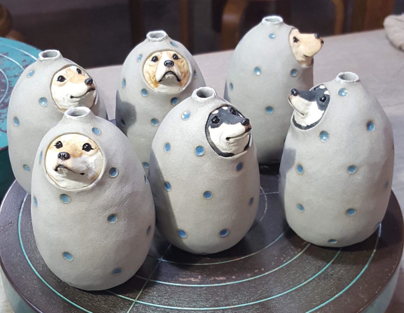 柴犬,うちの子記念日,フォトビー