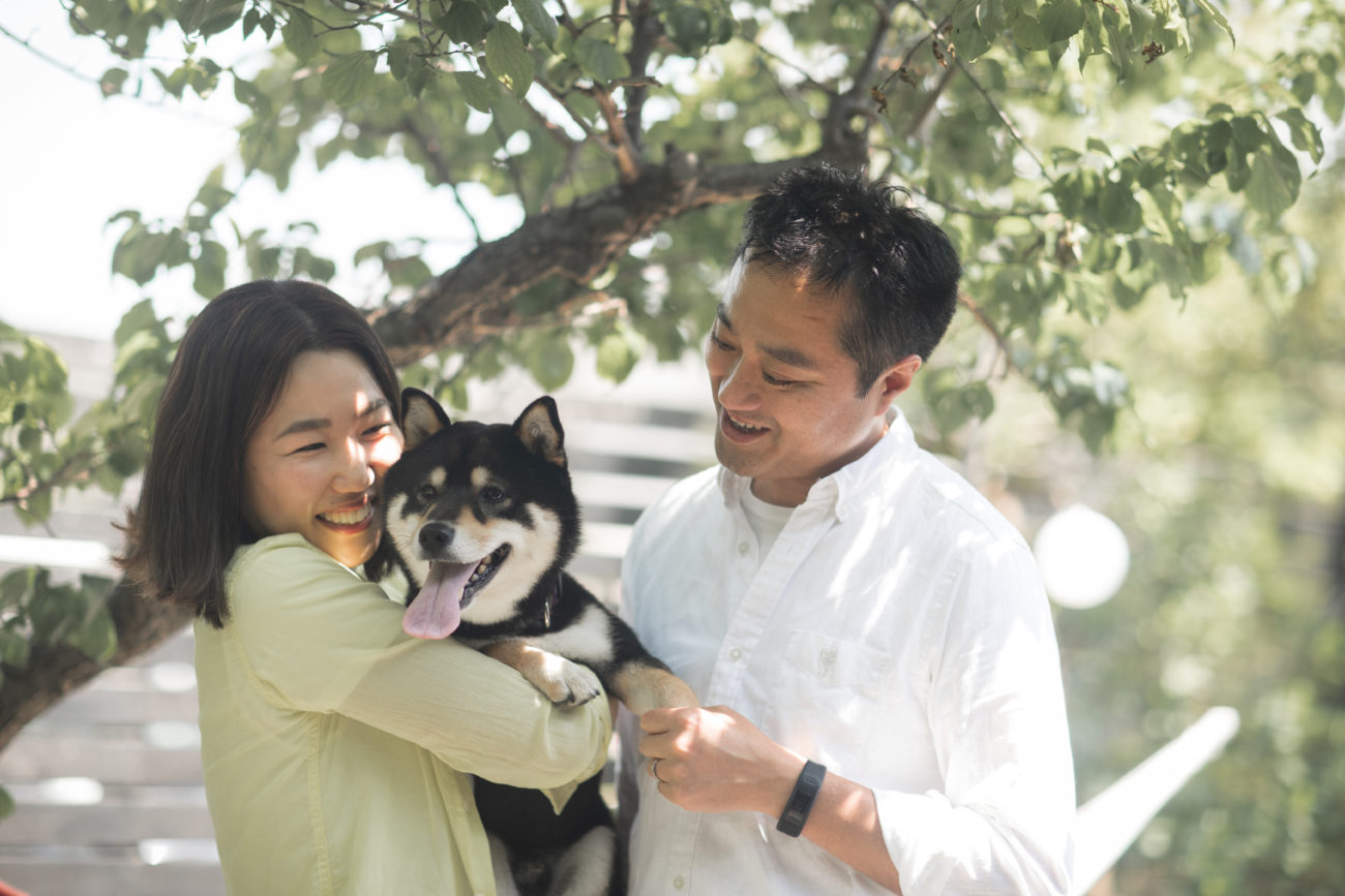 柴犬,うちの子記念日,フォトビー