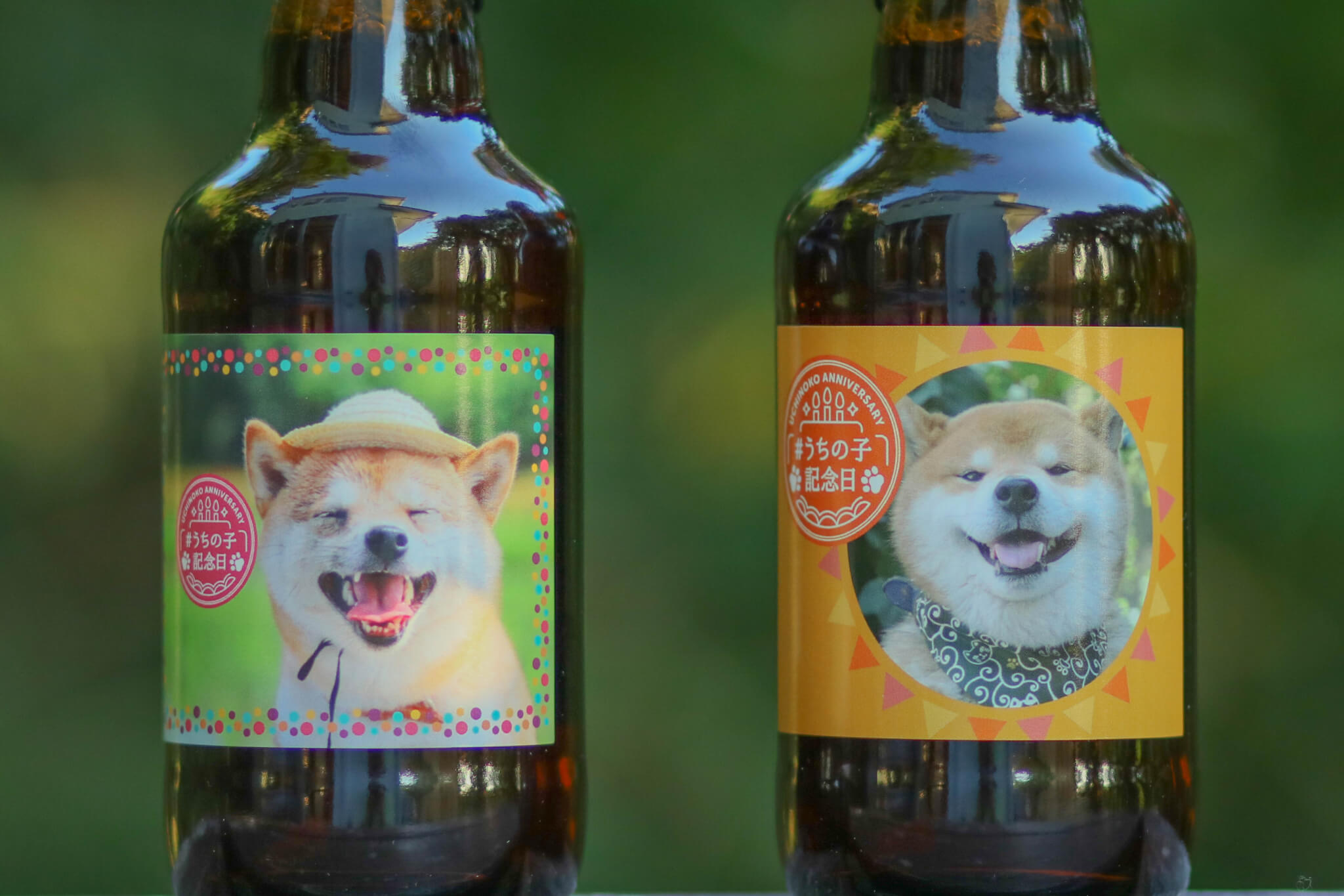 柴犬,うちの子記念日,フォトビー