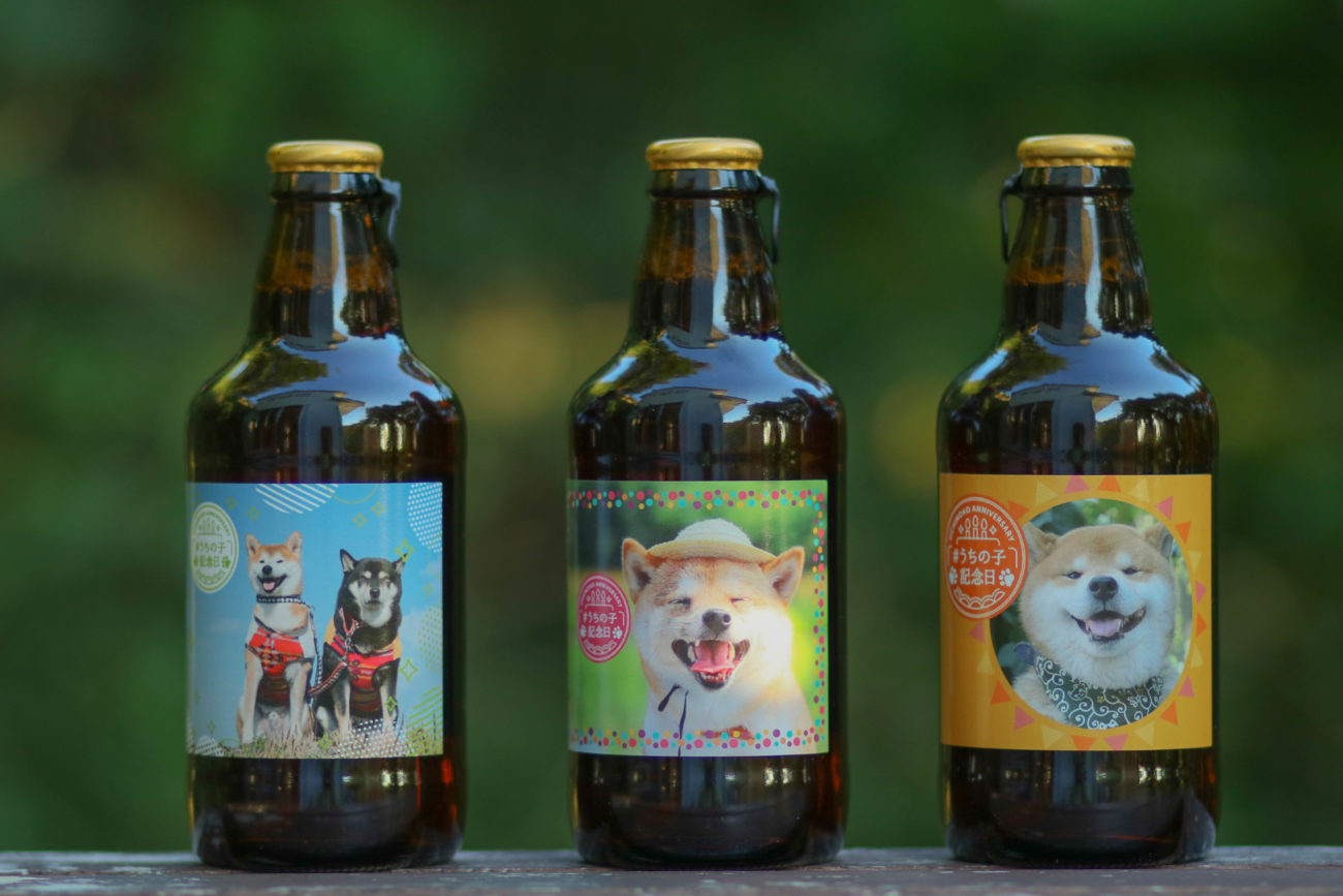 柴犬,うちの子記念日,フォトビー