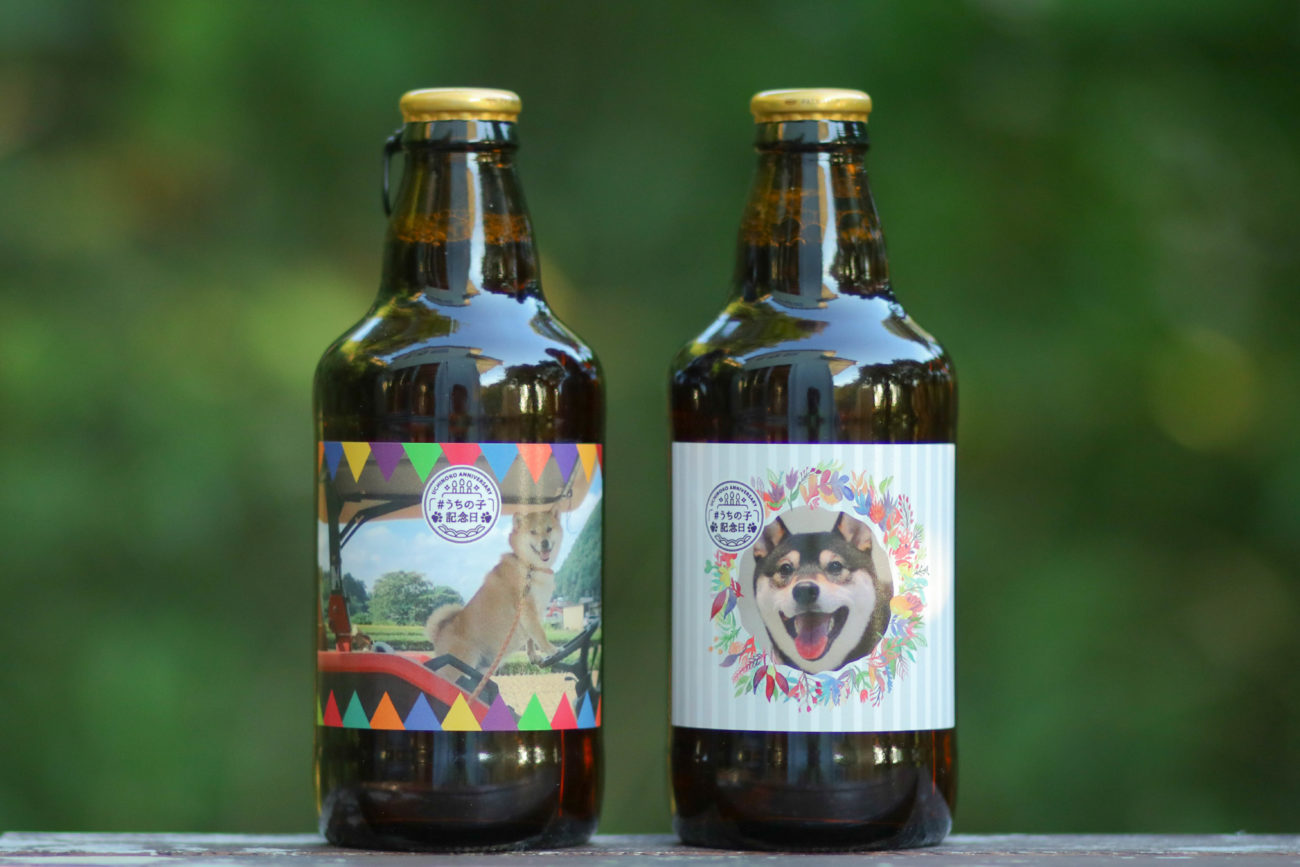 柴犬,うちの子記念日,フォトビー