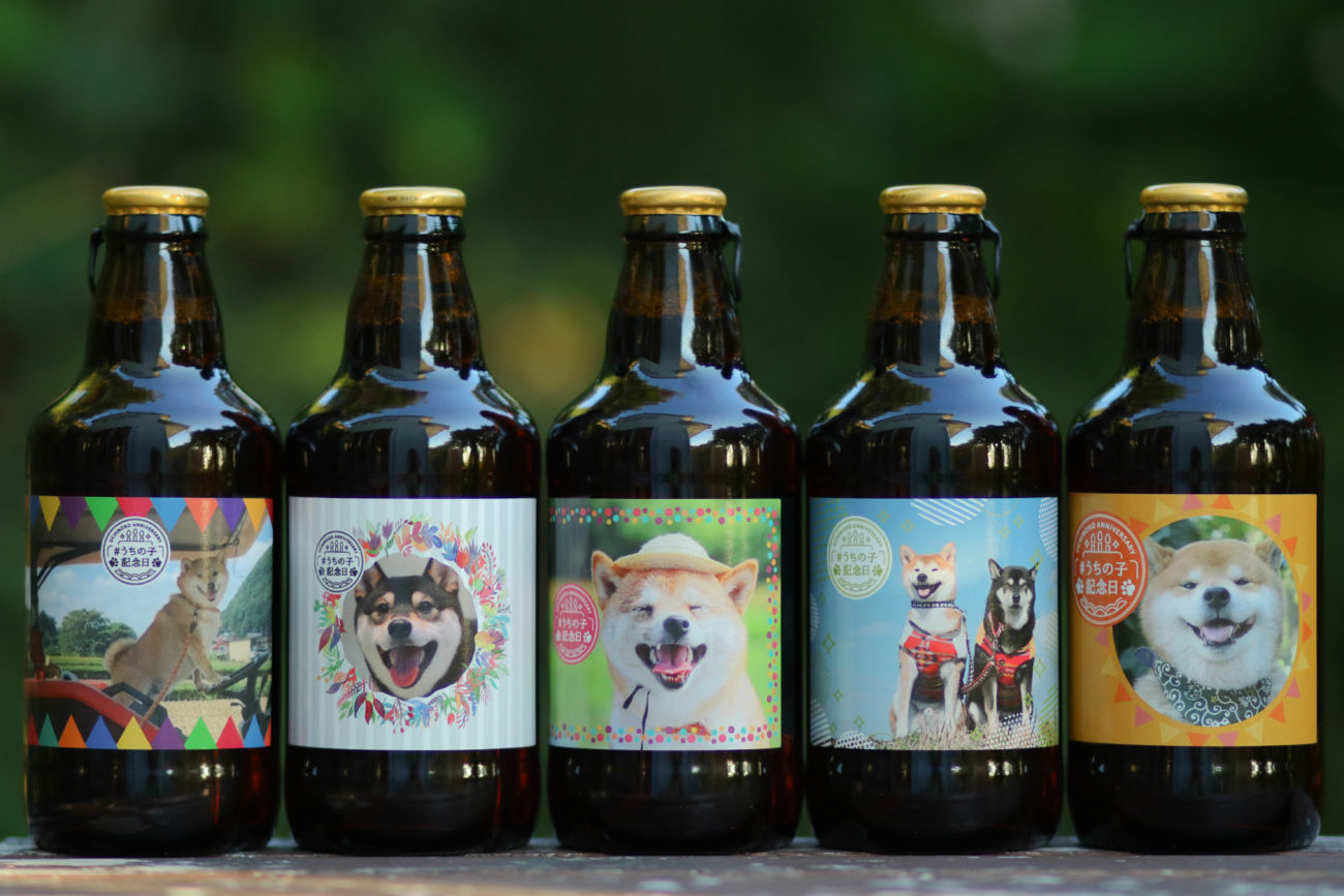 柴犬,うちの子記念日,フォトビー