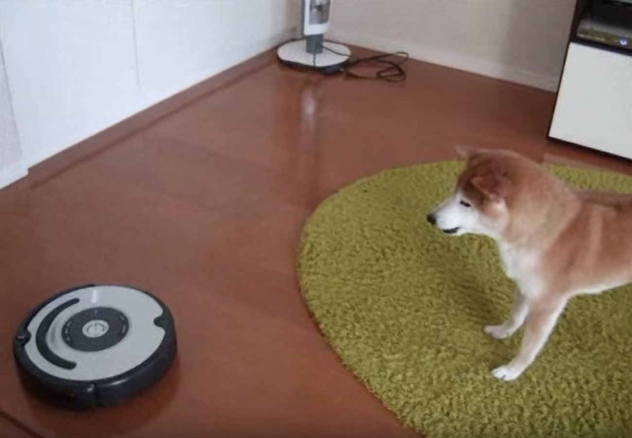 柴犬お掃除ロボット