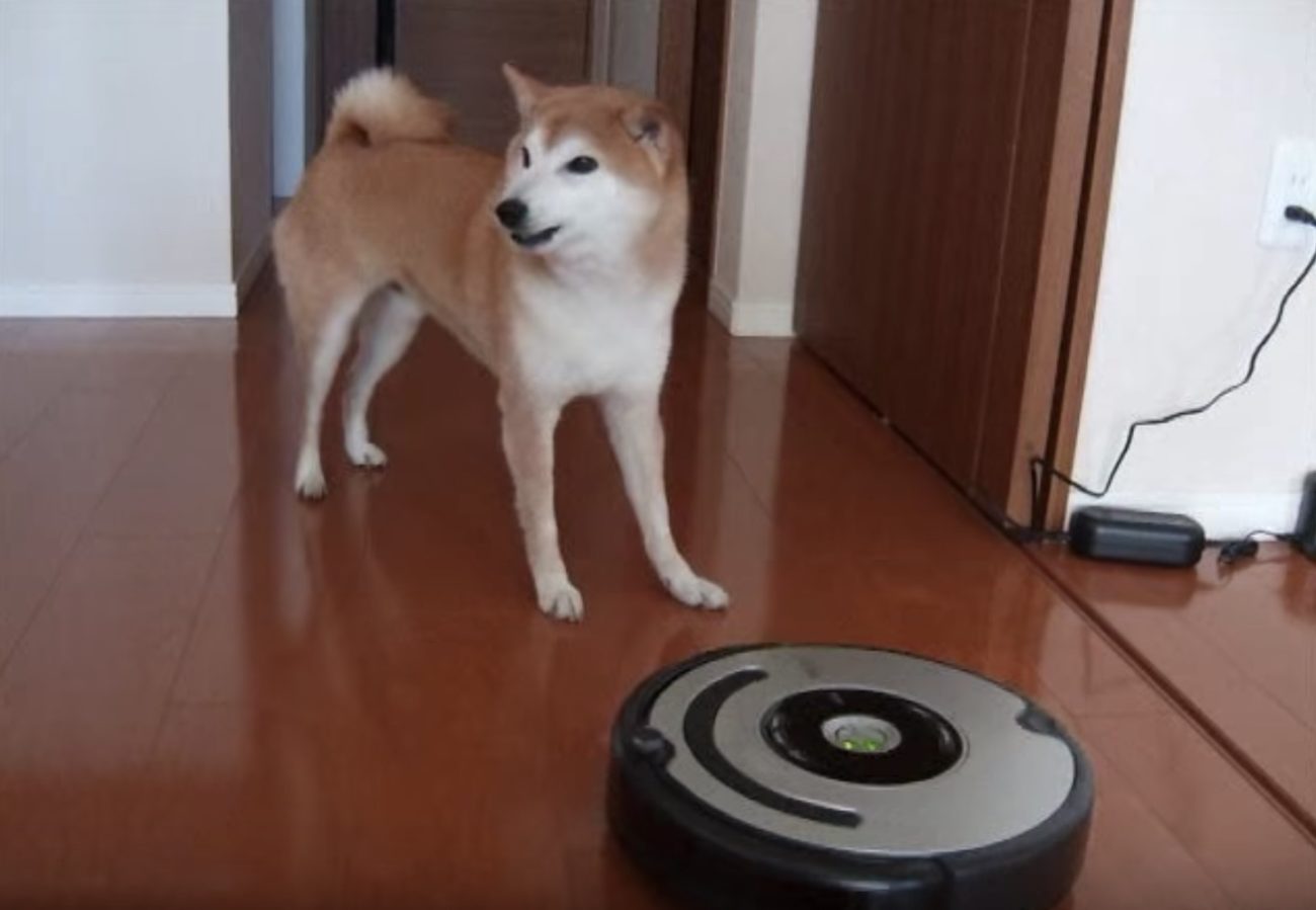 柴犬お掃除ロボット