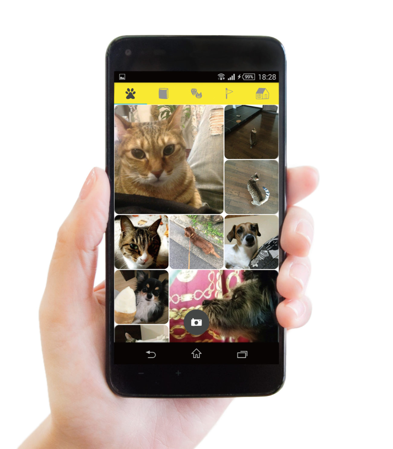 ドコノコ柴犬祭り