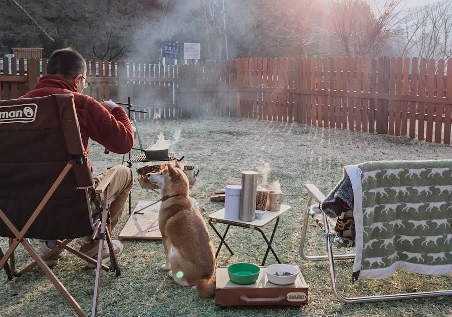 柴犬キャンプ
