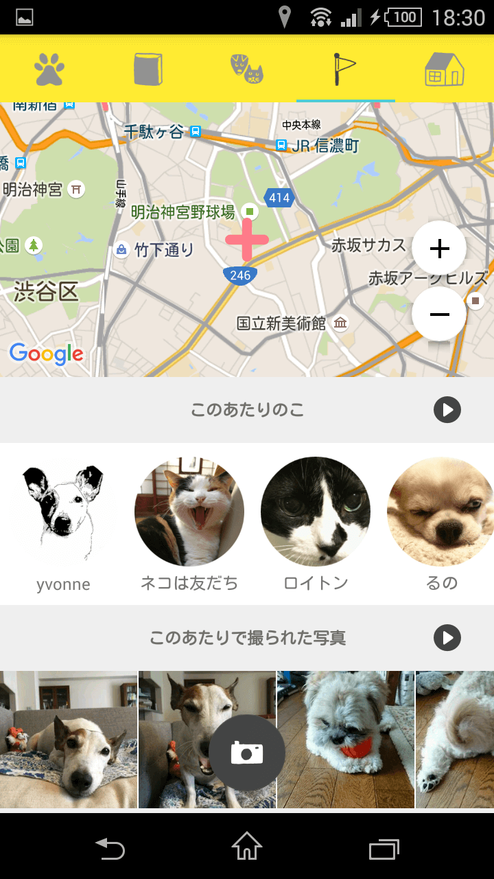 ドコノコ柴犬祭り