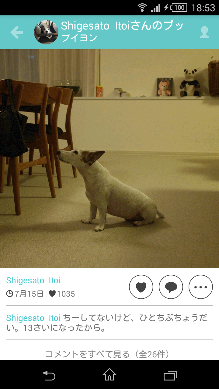 ドコノコ柴犬祭り