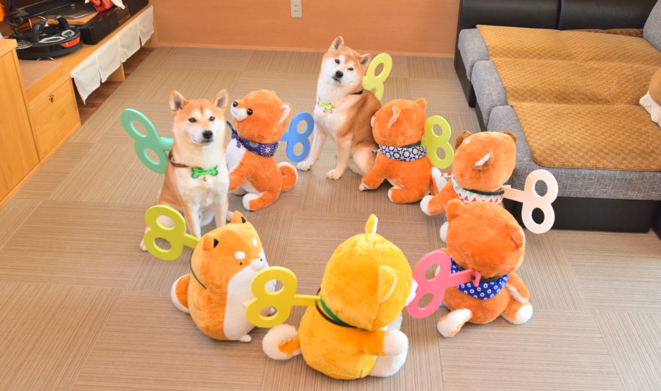 柴犬ぬいぐるみ