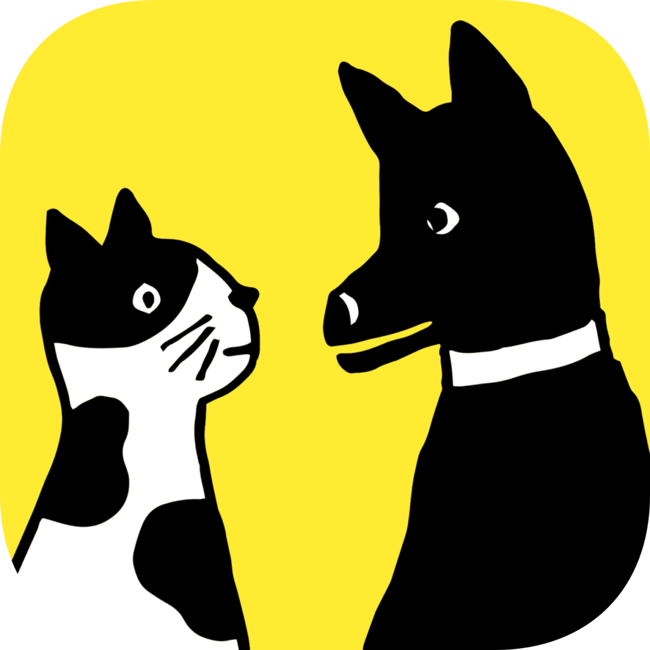 ドコノコ柴犬祭り