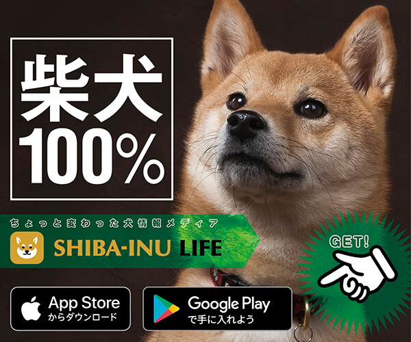 柴犬ライフ,アプリ