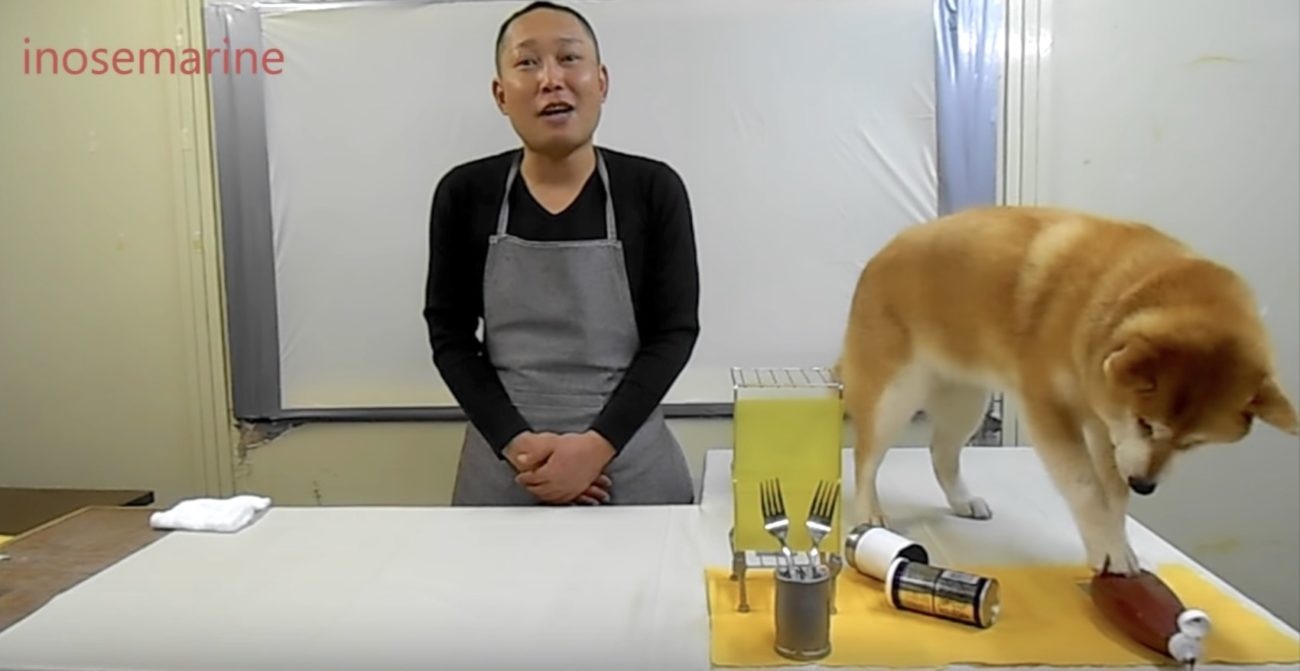 柴犬クッキング