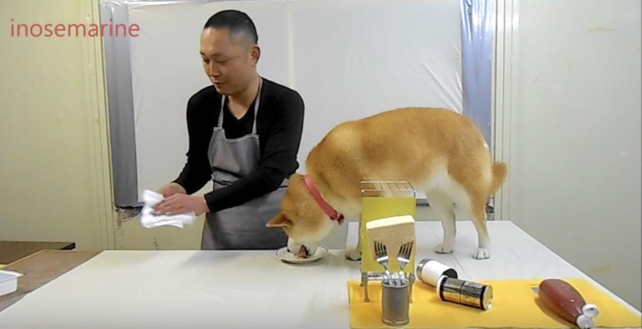 柴犬クッキング