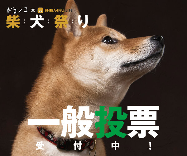 柴犬祭り