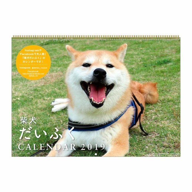 2019年 柴犬だいふく カレンダー