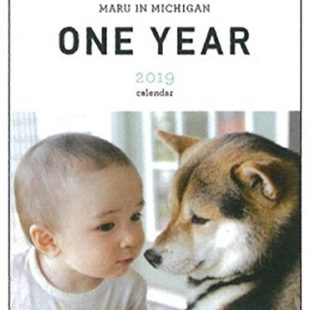 壁掛け　ＯＮＥ　ＹＥＡＲ～Ｍａｒｕ　ｉｎ Ｍｉｃｈｉｇａｎ