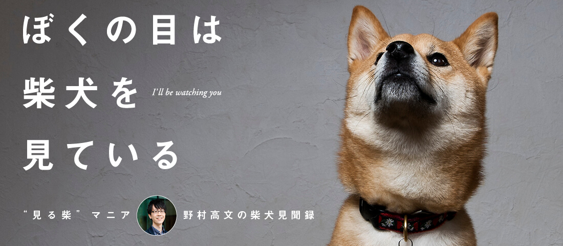 見る柴,野村高文