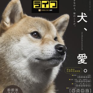 雑誌版『柴犬ライフ』