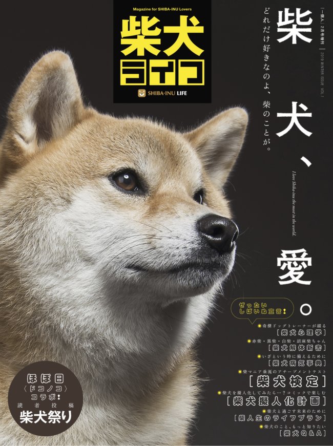 雑誌版『柴犬ライフ』