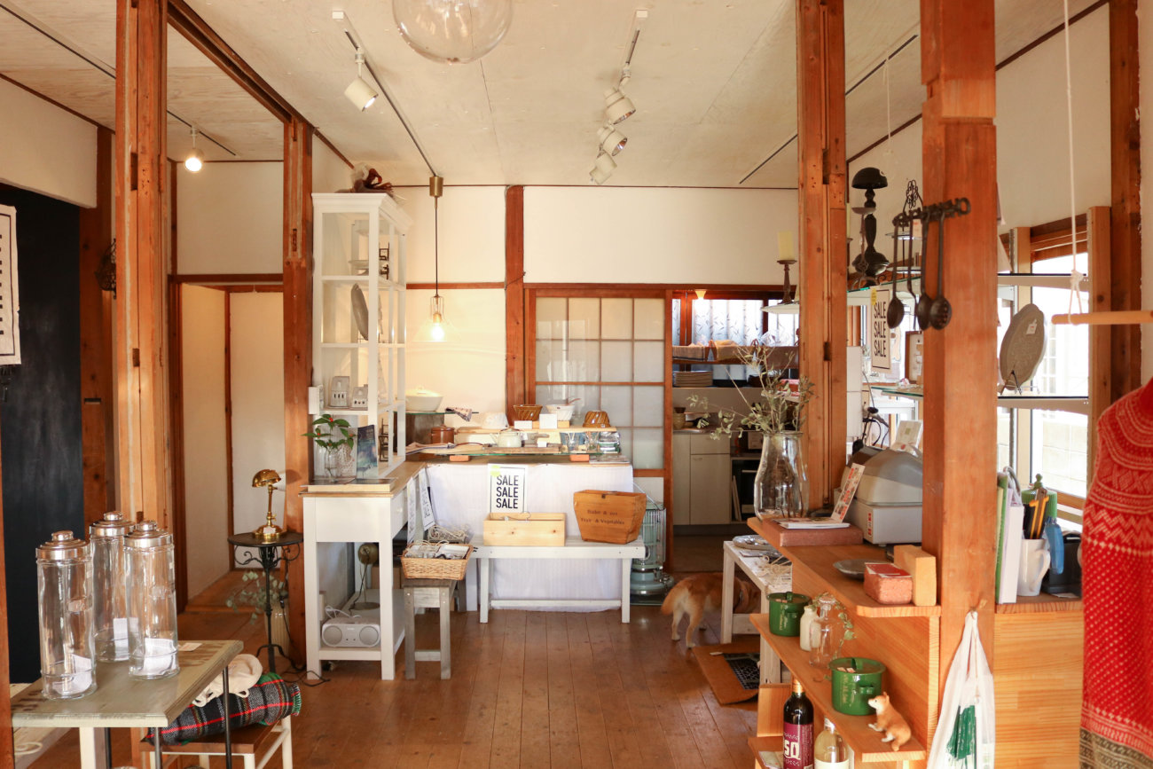 柴犬,カフェ,大磯,サラ