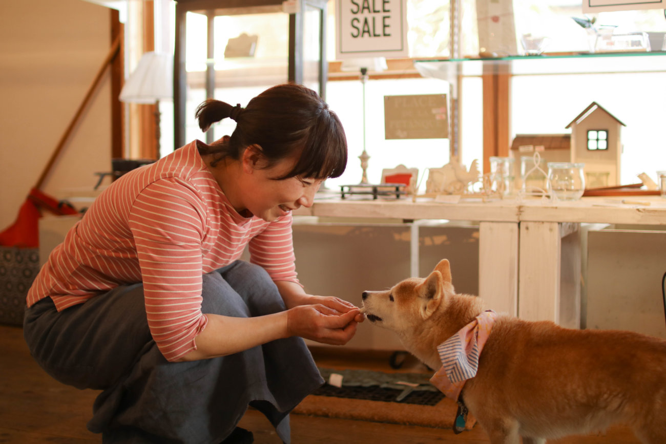 柴犬,カフェ,大磯,ルッコラ