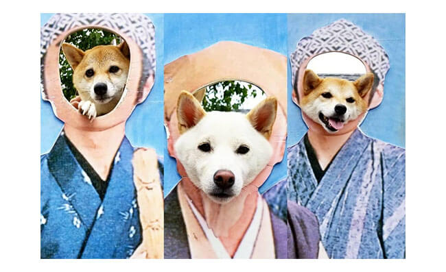 柴犬♡オーダーパネル オーダー】柴犬 キーホルダー | Thyme_G