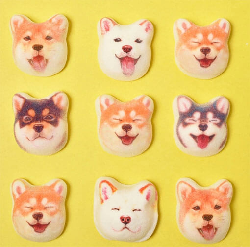 柴犬,ホワイトデー