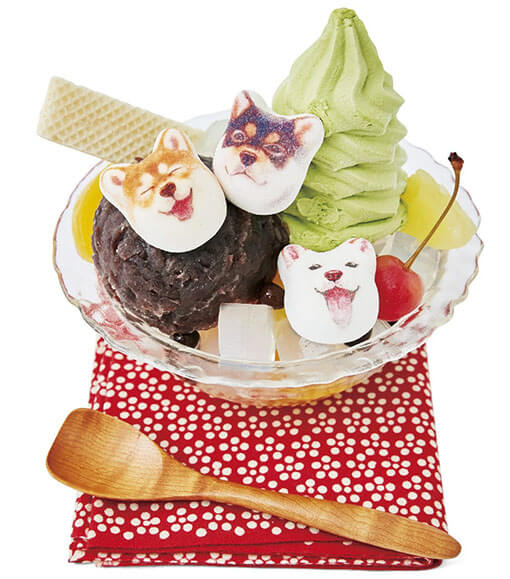 柴犬,ホワイトデー