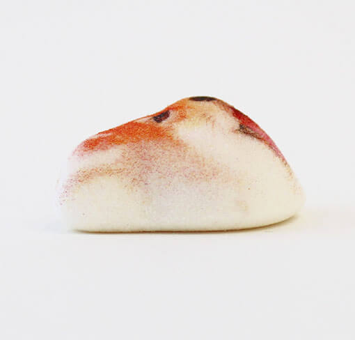 柴犬,ホワイトデー