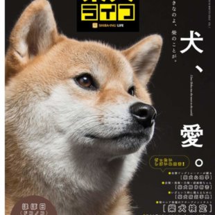 雑誌版『柴犬ライフ』
