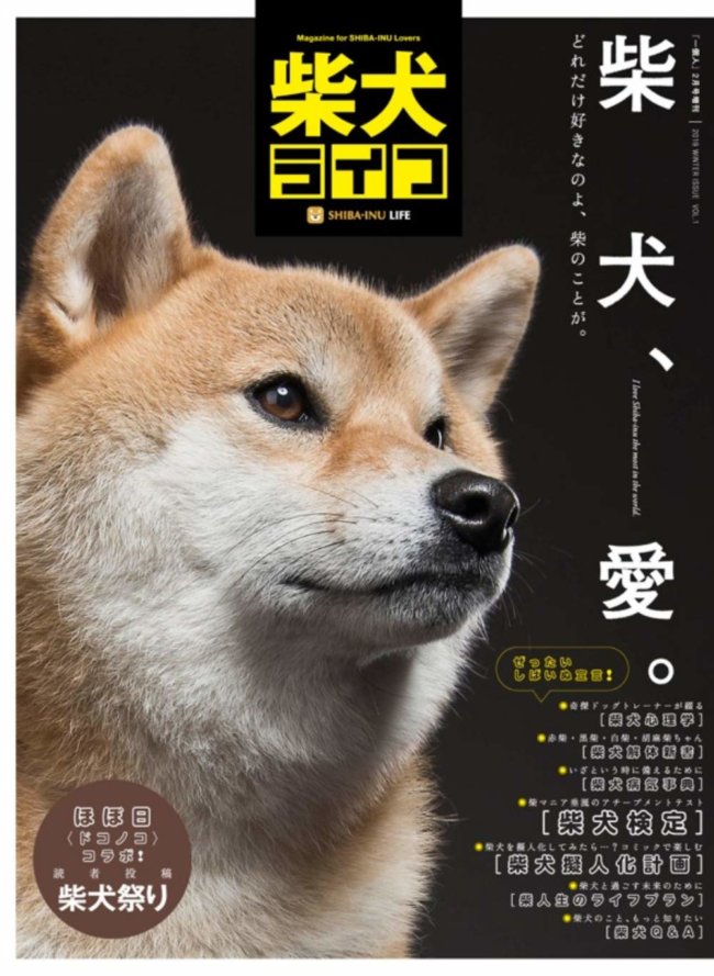 雑誌版『柴犬ライフ』