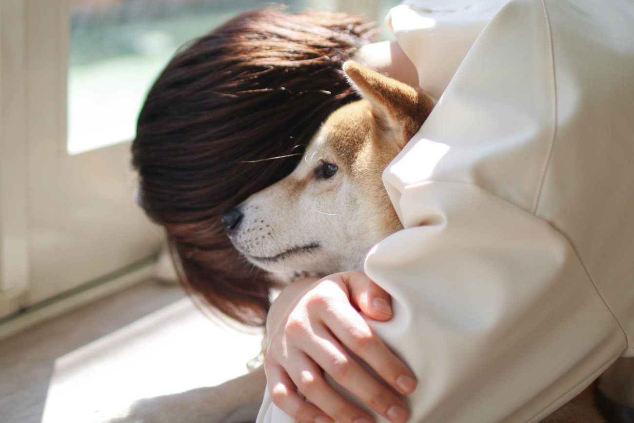 柴犬のここが好き