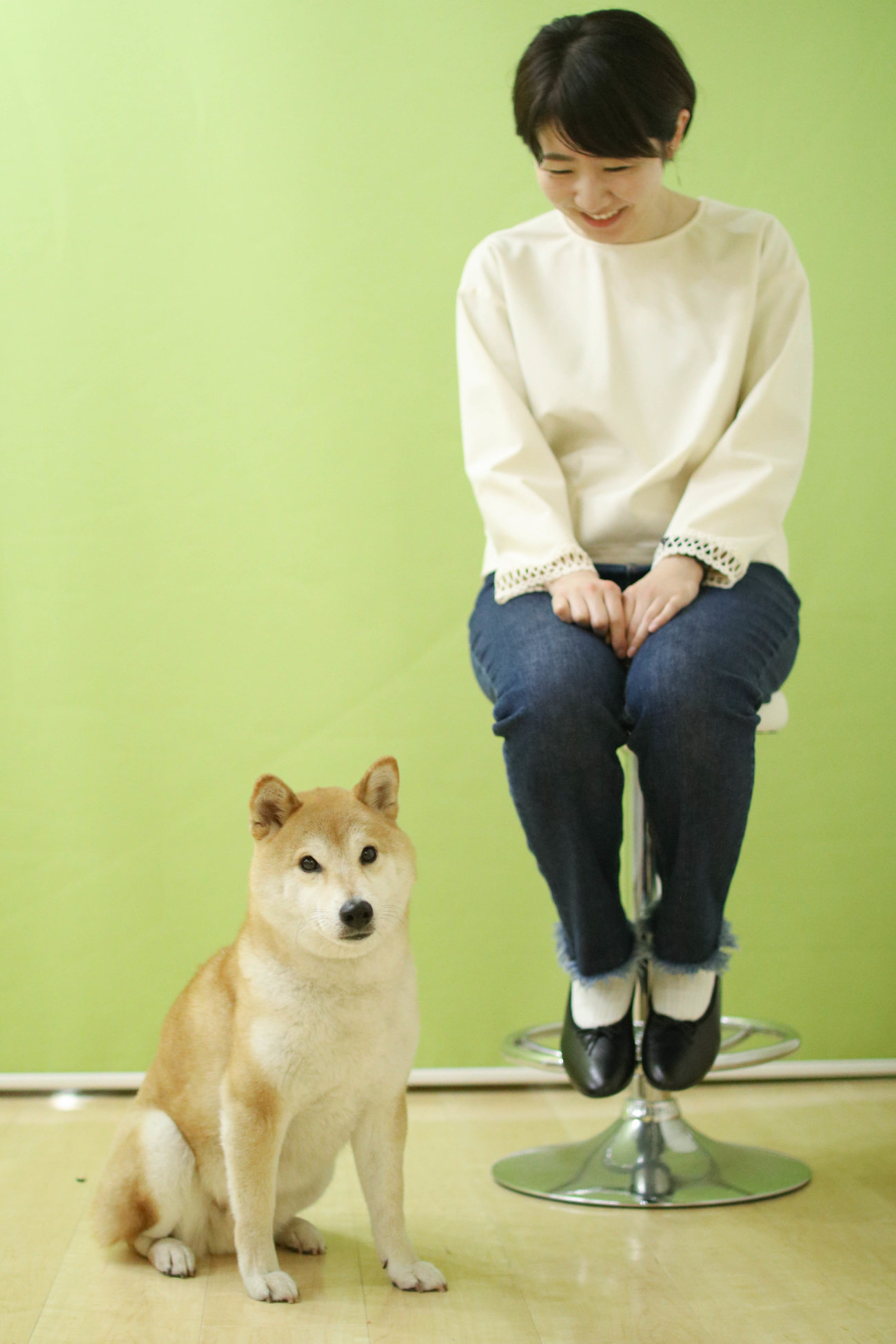 柴犬のここが好き