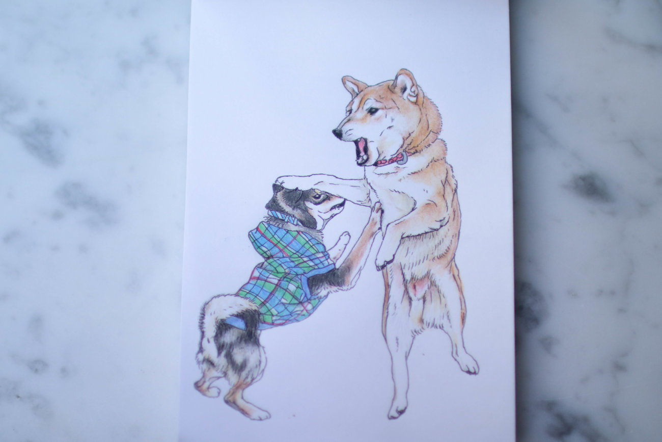 柴犬のここが好き