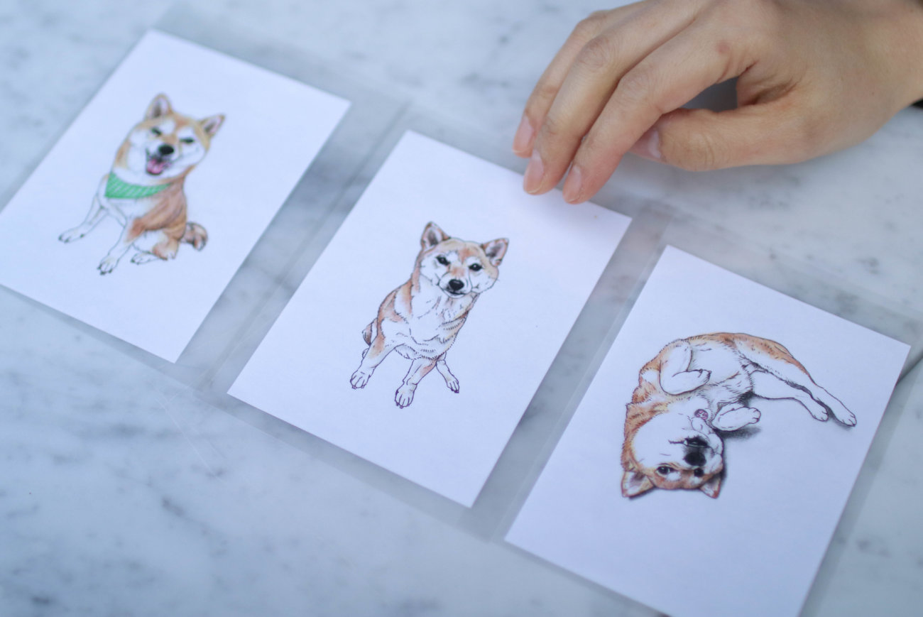 柴犬のここが好き