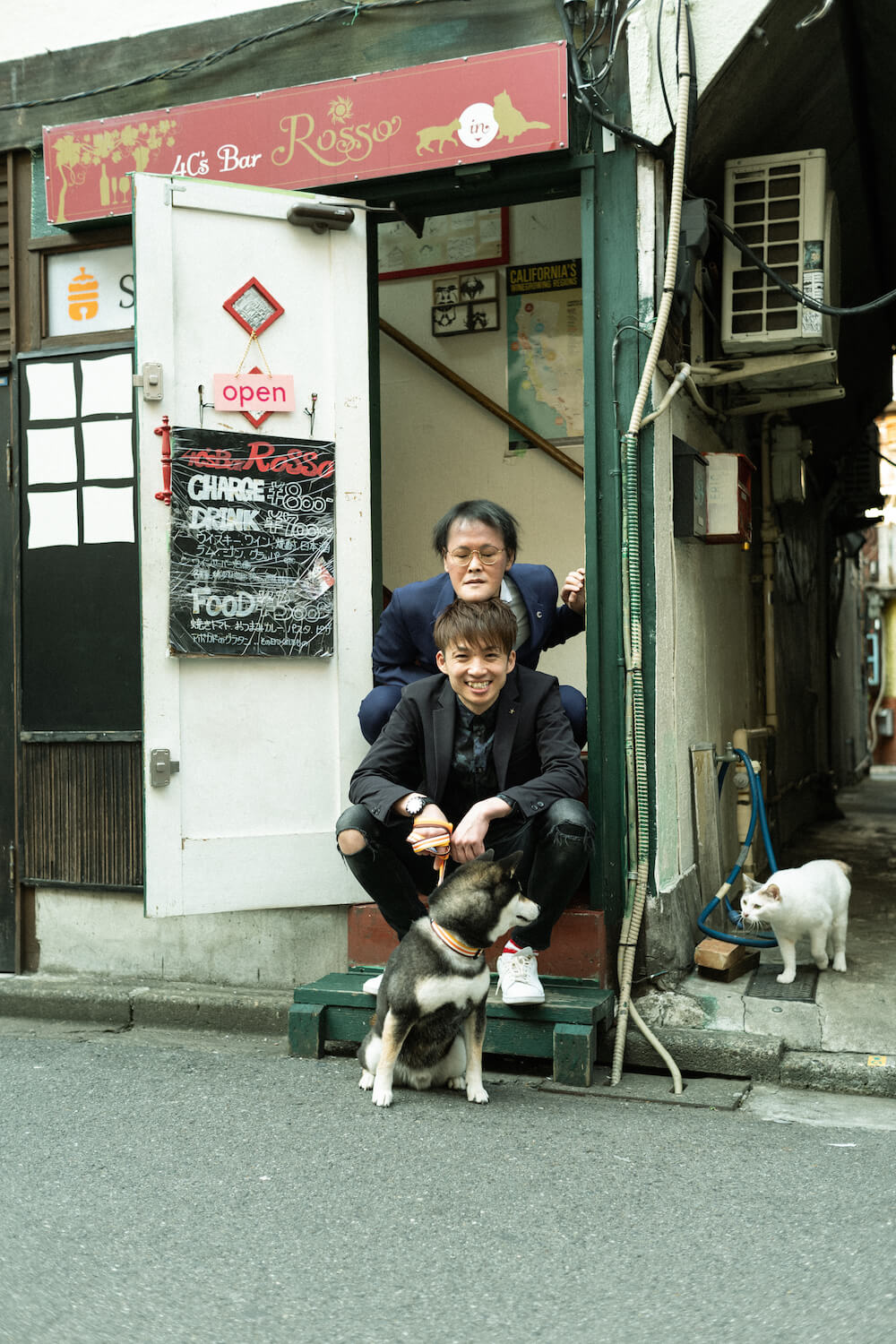 柴犬,アインシュタイン