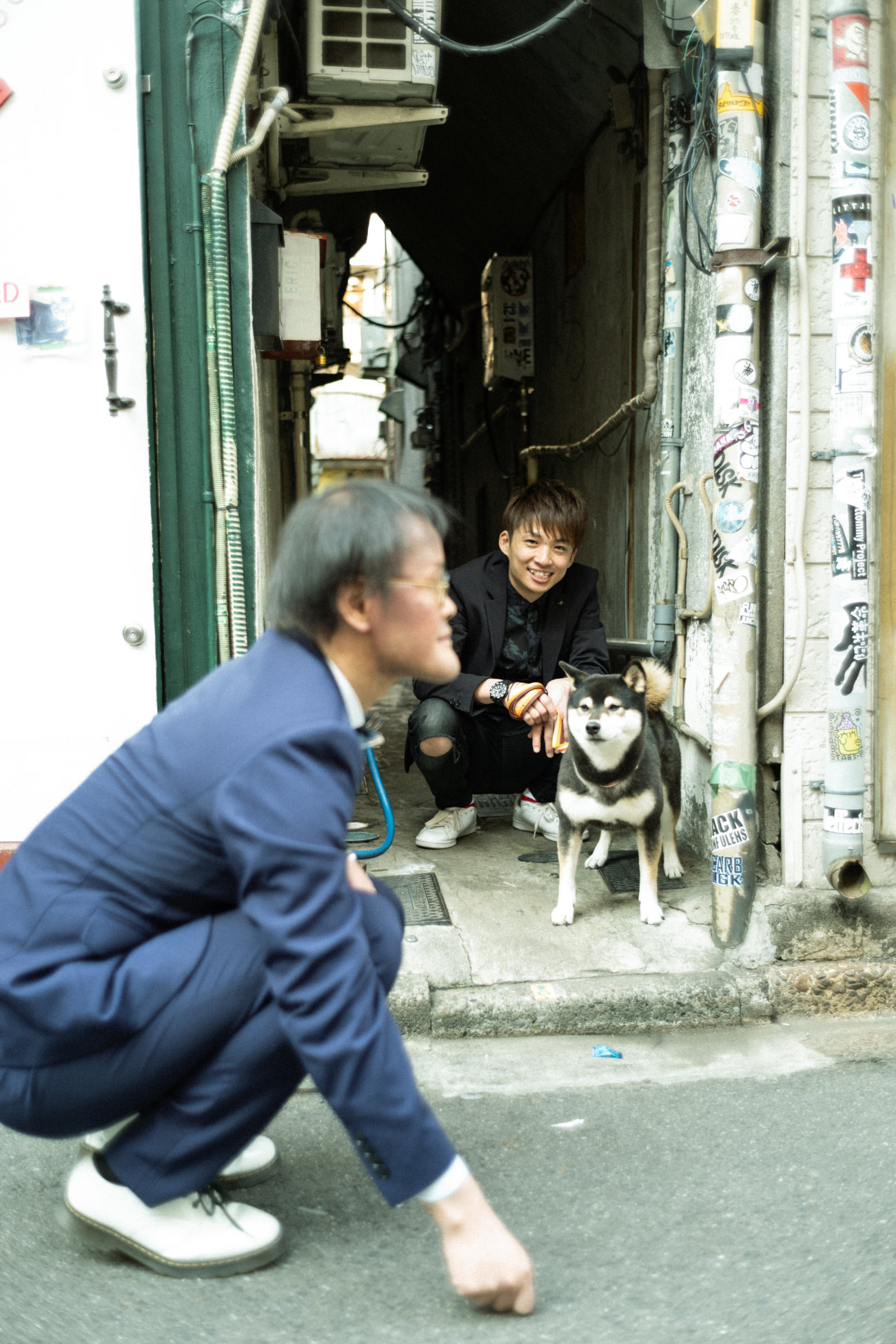 柴犬,アインシュタイン