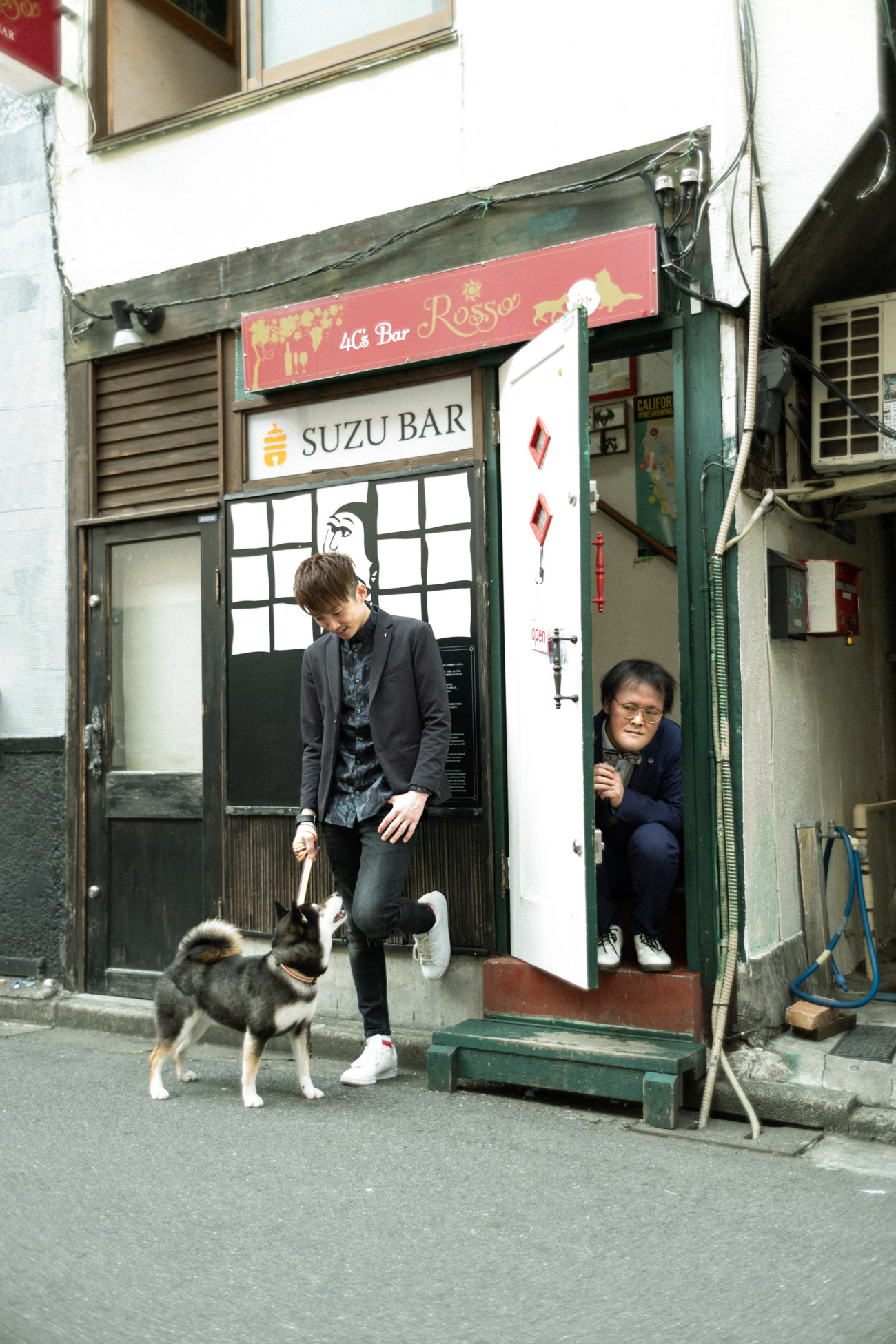 柴犬,アインシュタイン