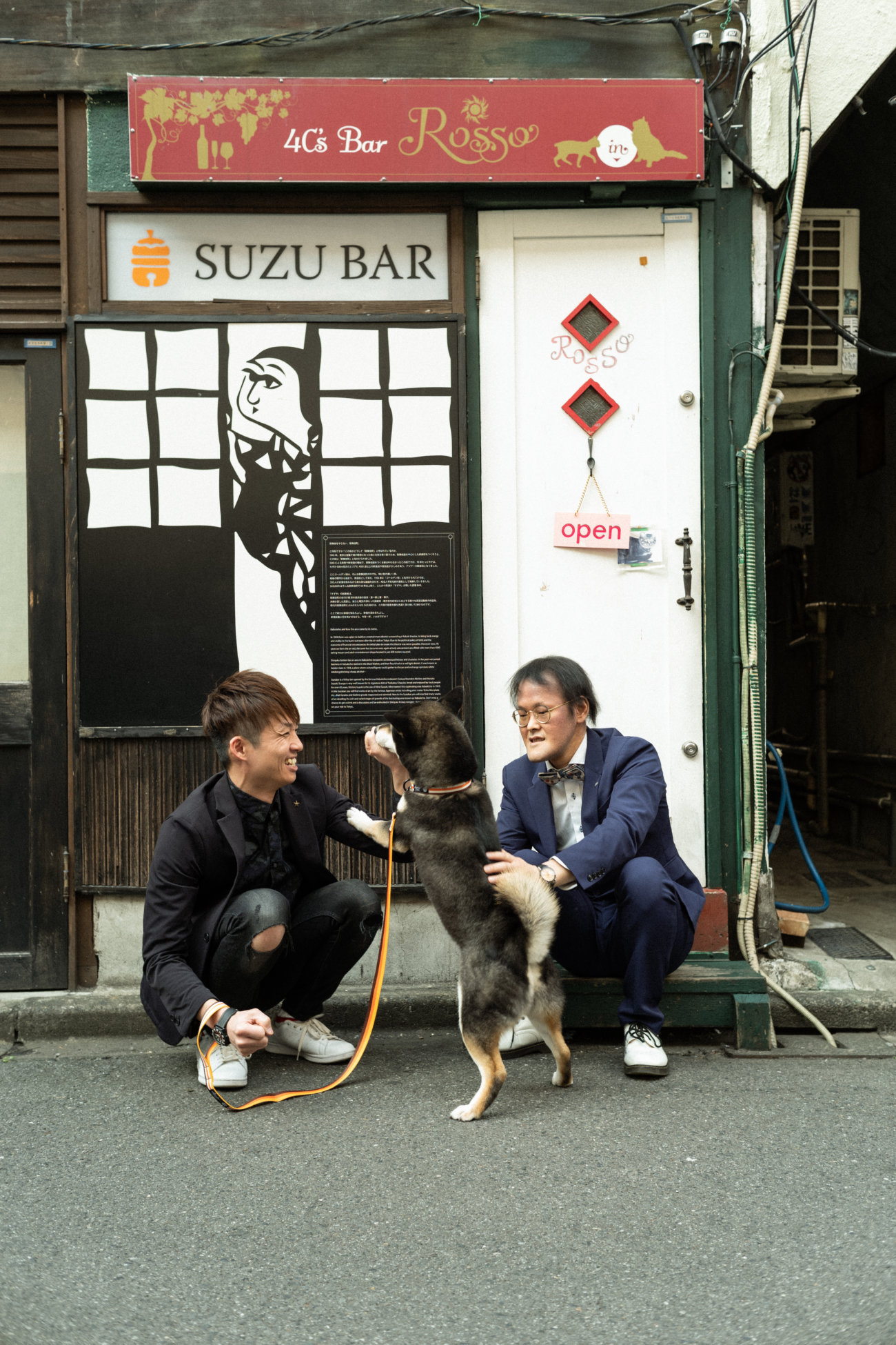 柴犬,アインシュタイン