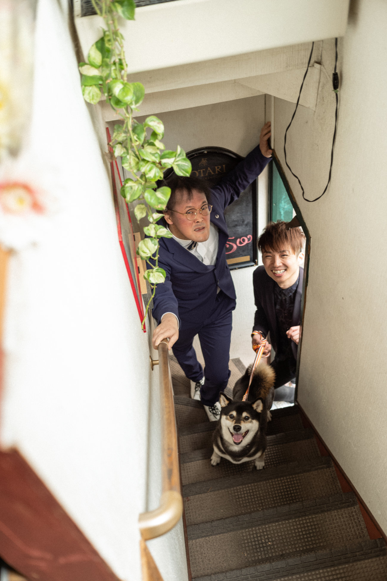 柴犬,アインシュタイン