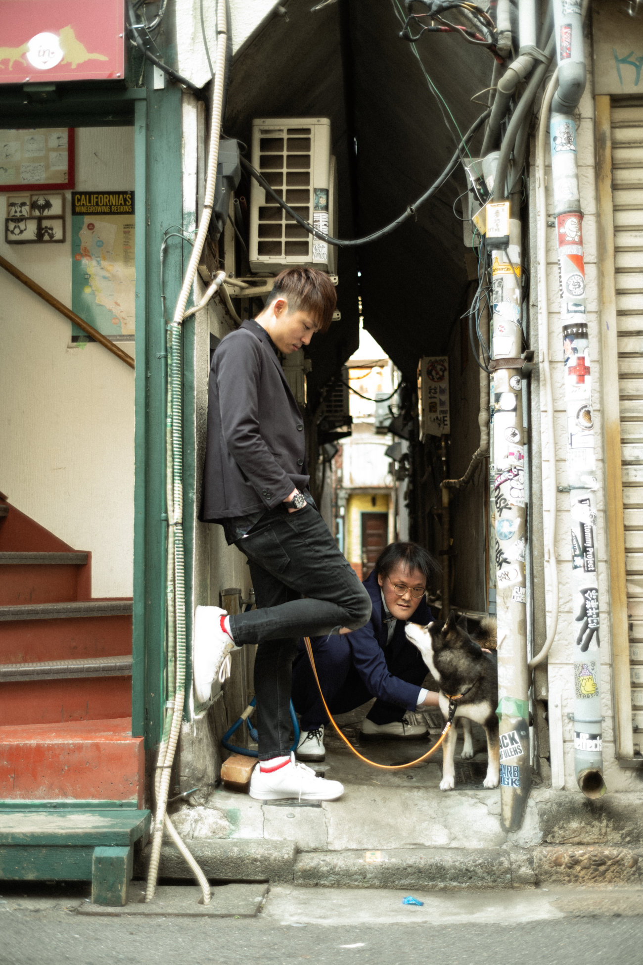 柴犬,アインシュタイン