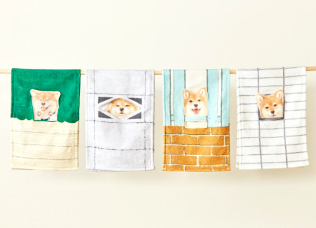 柴犬,タオル